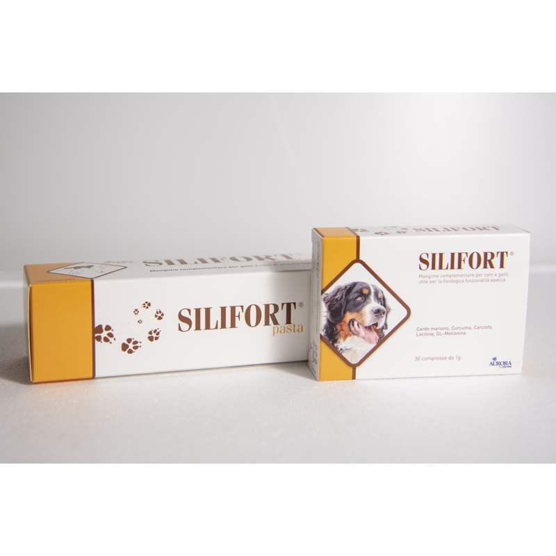 SILIFORT PASTA 30 ML